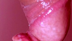 little latina slut sucks cock, cums in mouth during quick holiday fling. a steamy story to get you off fast!