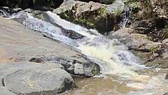 Colombian Shaved Action in Public Outdoor Scene