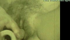 two centuries of lesbian history in vintage style with hairy details