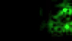 two centuries of lesbian history in vintage style with hairy details