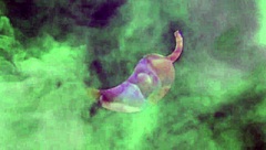 latina brunette rides big cock in anal scene