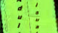 Harem hotel 174 features anime-style adventures in a game setting