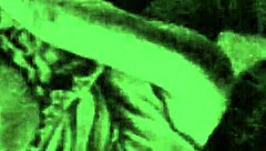 vintage erotic drawings