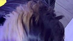 cliente graba nuestro encuentro parte 1 tu tambi�n puedes grabar como me coges