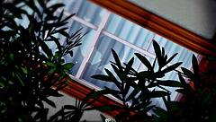 sword art online ntr with big tits 😏