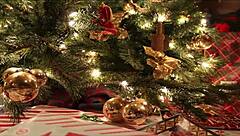 Spending Christmas with Friends in a Hot Anime Moment