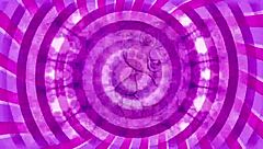 Instruksi Latihan Sissifikasi Licin Basah dengan Anal