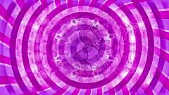 Slippery And Wet Sissification Training Instructions With Anal