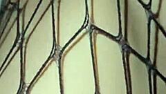 Uh, this delicate skinny teen gave me her body to enjoy.