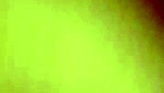 november 19, 2017 video captures a quiet evening moment