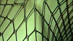 Uh, this delicate skinny teen gave me her body to enjoy.