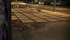 Extreme Teen Trampling Domination in Hardcore BDSM Wild Session