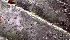 Горячая патрисиня с розовой пиздой жаждет публичного траха прямо сейчас!