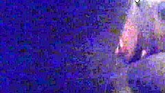 lick that ebony milf pussy hard! she moans on monster cock orgasm!