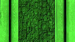 wbp378 - i am shelly - homecoming part 1