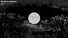 Brunette Amateur Receives Facial In First Porn Scene