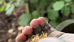 Chicken feeding station with cool tattoos