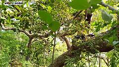 bro, living with adam and eve in this paradise of intense anal banging! 🍆💦