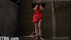 want to see bdsm ball licking and sucking?