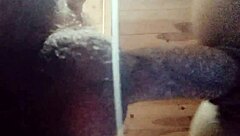 vamos foder gostoso com essa latina curvy