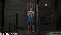 four beauties locked in petite cage for rough play.