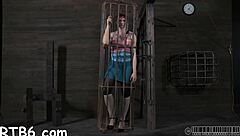 four beauties locked in petite cage for rough play.