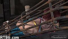 four beauties locked in petite cage for rough play.