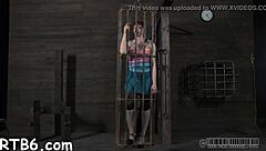 four beauties locked in petite cage for rough play.