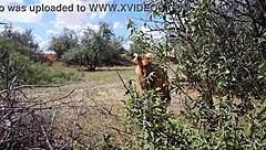 سافانا فيكسن، الجميلة الناضجة، تتعامل خارجيًا مع هواة