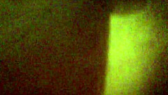 Voluptuous Fat Ass Twerking Seductively