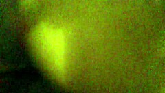 Voluptuous Fat Ass Twerking Seductively