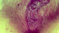 beauty1 showcasing amateur beauty in a simple scene