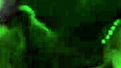 Chica 18+ con culazo en bikini mono mama polla y se pone a cuatro