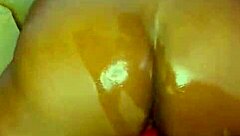 latest nigarchrist update featuring petal on jun 08 2025