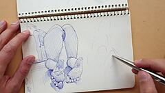 In my sketchbook, I quickly drew a doggy-style pose highlighting foot details with a Parker ballpoint pen.
