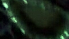 Late night cock sucking