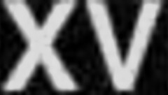 Wife plays with new anal toy