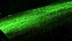 i spied on my cheating wife in the bedroom while she got fucked