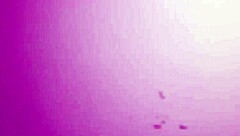 今すぐ深くしゃぶらせて！