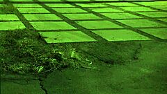 Curly Indian maid in saree gets stripped by house owner for close-up big ass fucking and panty sniffing.