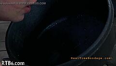 ferocious whipping for angel