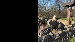 Quiet girl in the office also fun at parties!