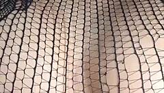 Intense Anal Fucking And Facial Cumshot On Colombian Babe!