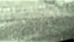 Never Masturbated This Much Before?