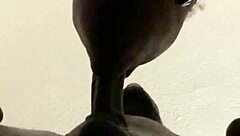 he came but i kept sucking that big cum load