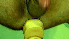 Want to see my huge dildo gaping this ass? Quick anal fuck!