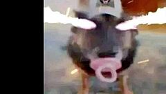 Osu Standard Play With Hechizeros Band And Koji Kondo Mashup