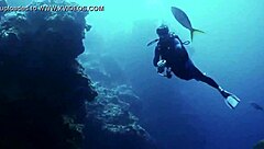 super shark sexy bikini girl on the boat with brunette