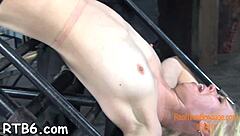 explore free sadomasochism episodes with blowjobs, fucking, and domination