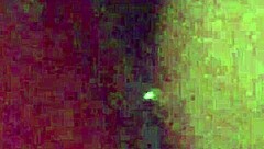 Papá dominando arbusto peludo charla sucia lamidas bisexuales